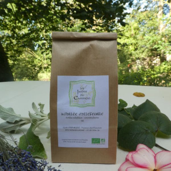 Tisane Achillée millefeuille