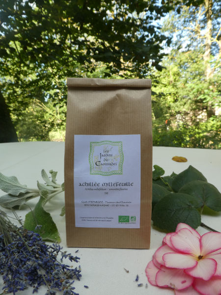 Tisane Achillée millefeuille