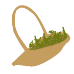 Nous choisissons de prélever les plantes utiles à nos préparations dans des lieux à l'écart de toute pollution. Nous pratiquons la cueillette avec le plus grand respect.