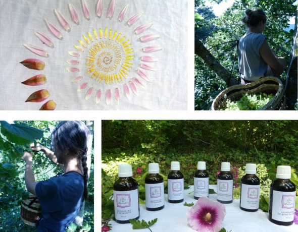les-jardins-ducaousadel-montage-qui-sommes-nous-3