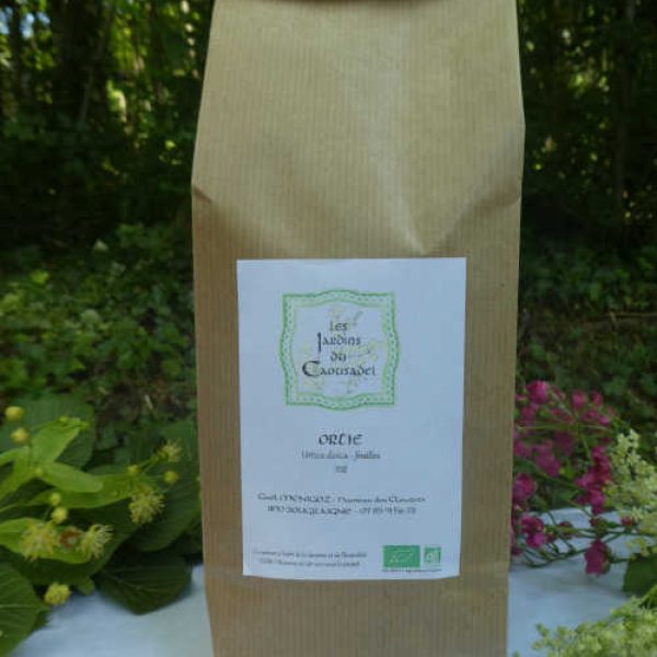 Tisane d'ortie