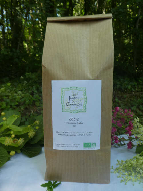 Tisane d'ortie