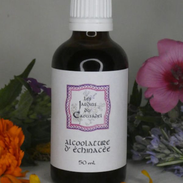 Alcoolature échinacée