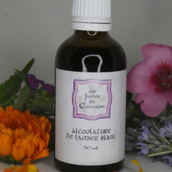 Alcoolature lamier blanc