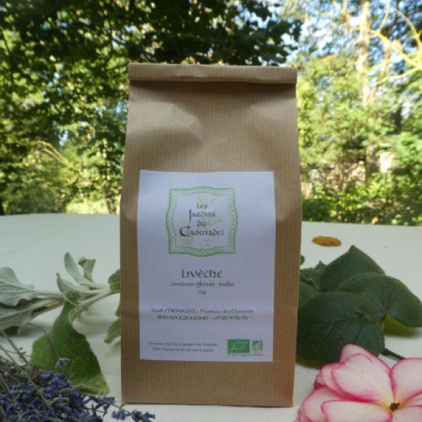 Tisane de livèche