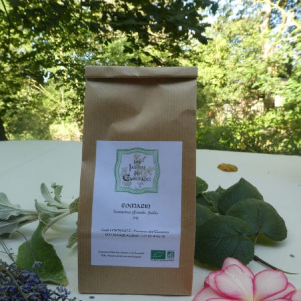 Tisane de romarin