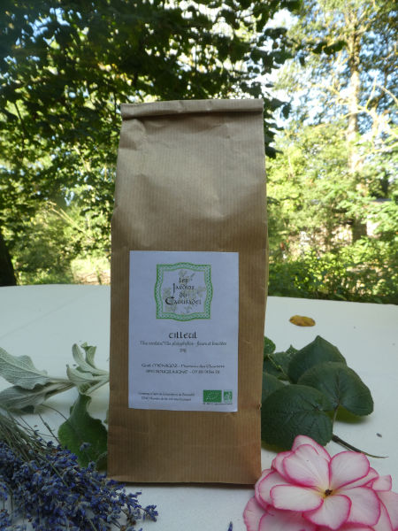 Tisane de tilleul