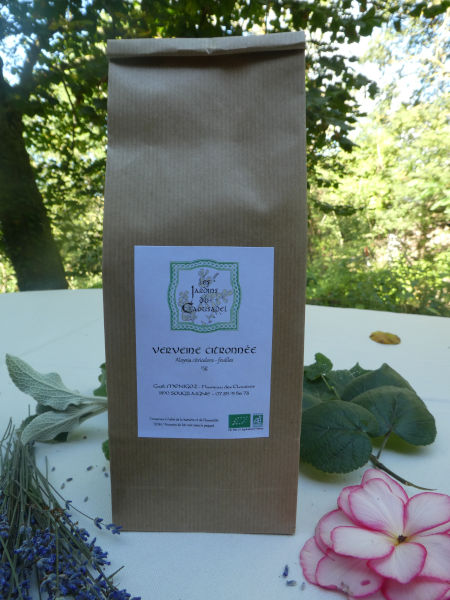 Tisane de verveine citronnée