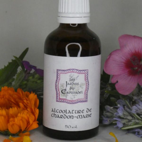 Alcoolature chardon marie