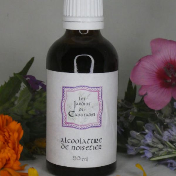 Alcoolature noisetier