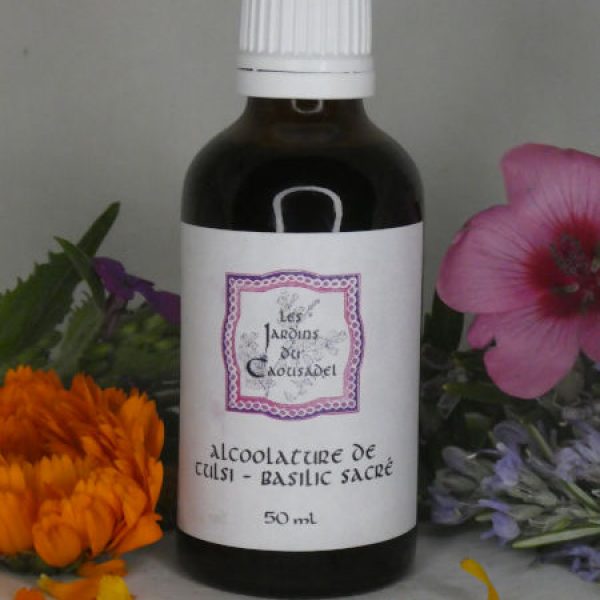 Alcoolature tulsi - basilic sacré