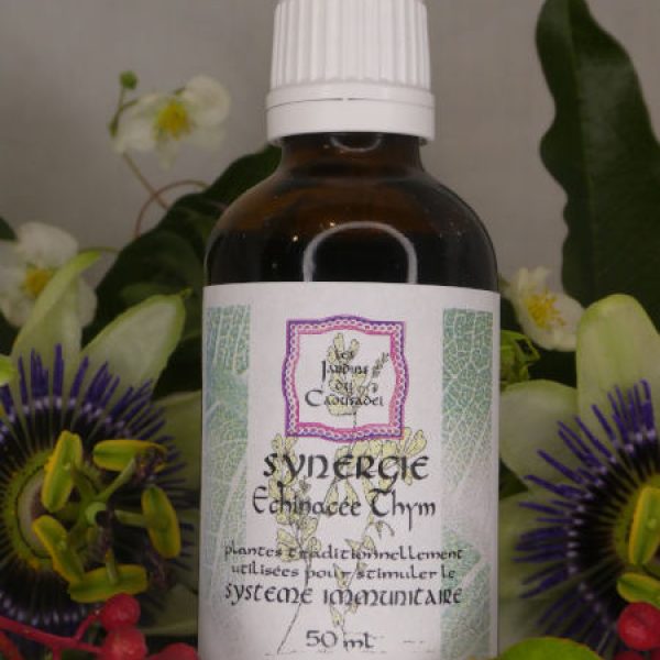 Synergie immunité