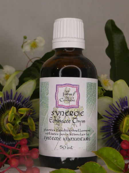 Synergie immunité