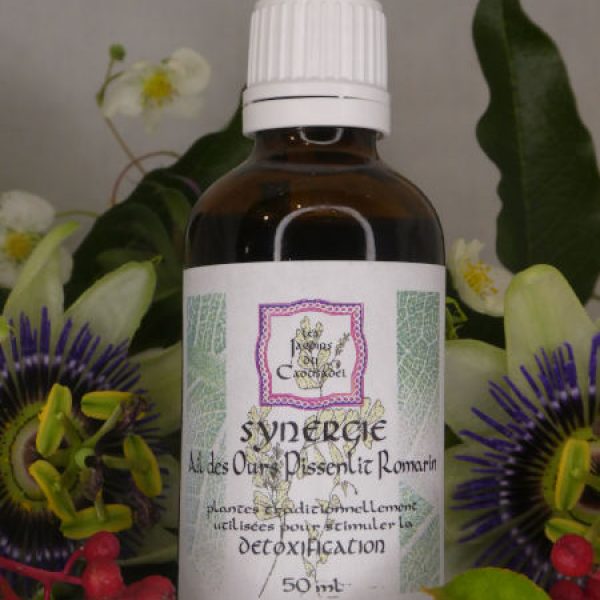 Synergie détoxification