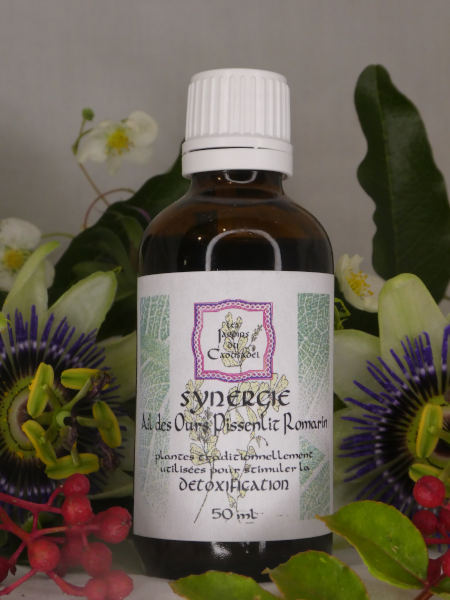 Synergie détoxification