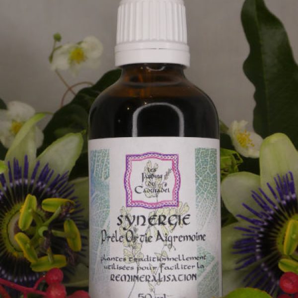 Synergie reminéralisation
